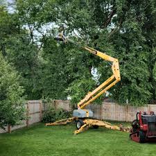 Grass Overseeding in Prestbury, IL